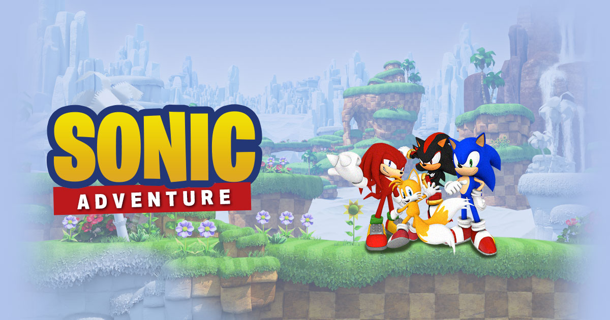 Sonic Birthday Party for Sam in Mountainside, New Jersey